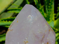 Polished Window Amethyst Crystals x 2 From Akansobe, Madagascar