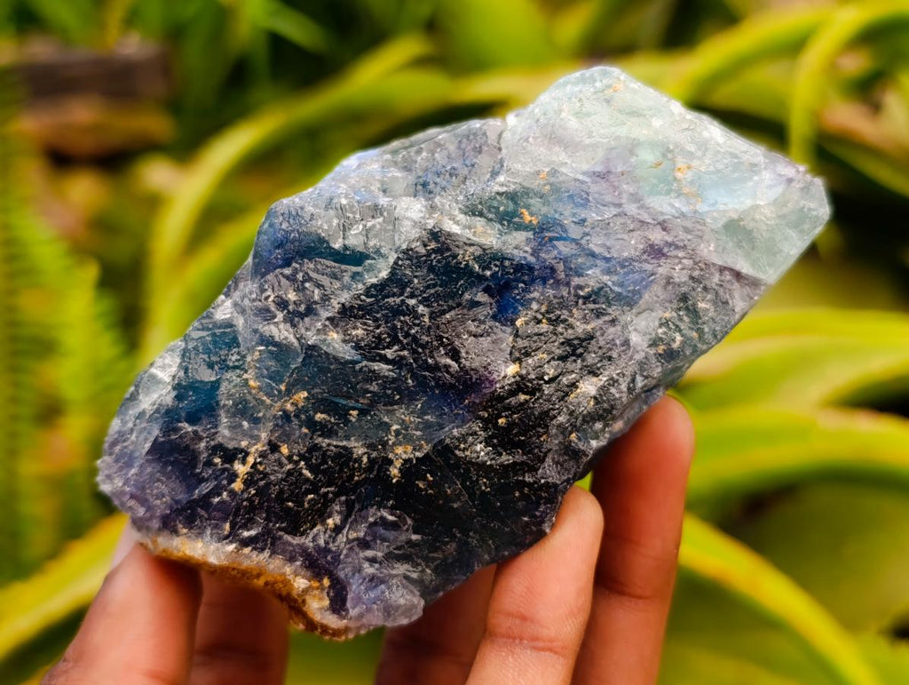 Natural Watermelon Fluorite Cobbed Specimens x 6 From Uis, Namibia