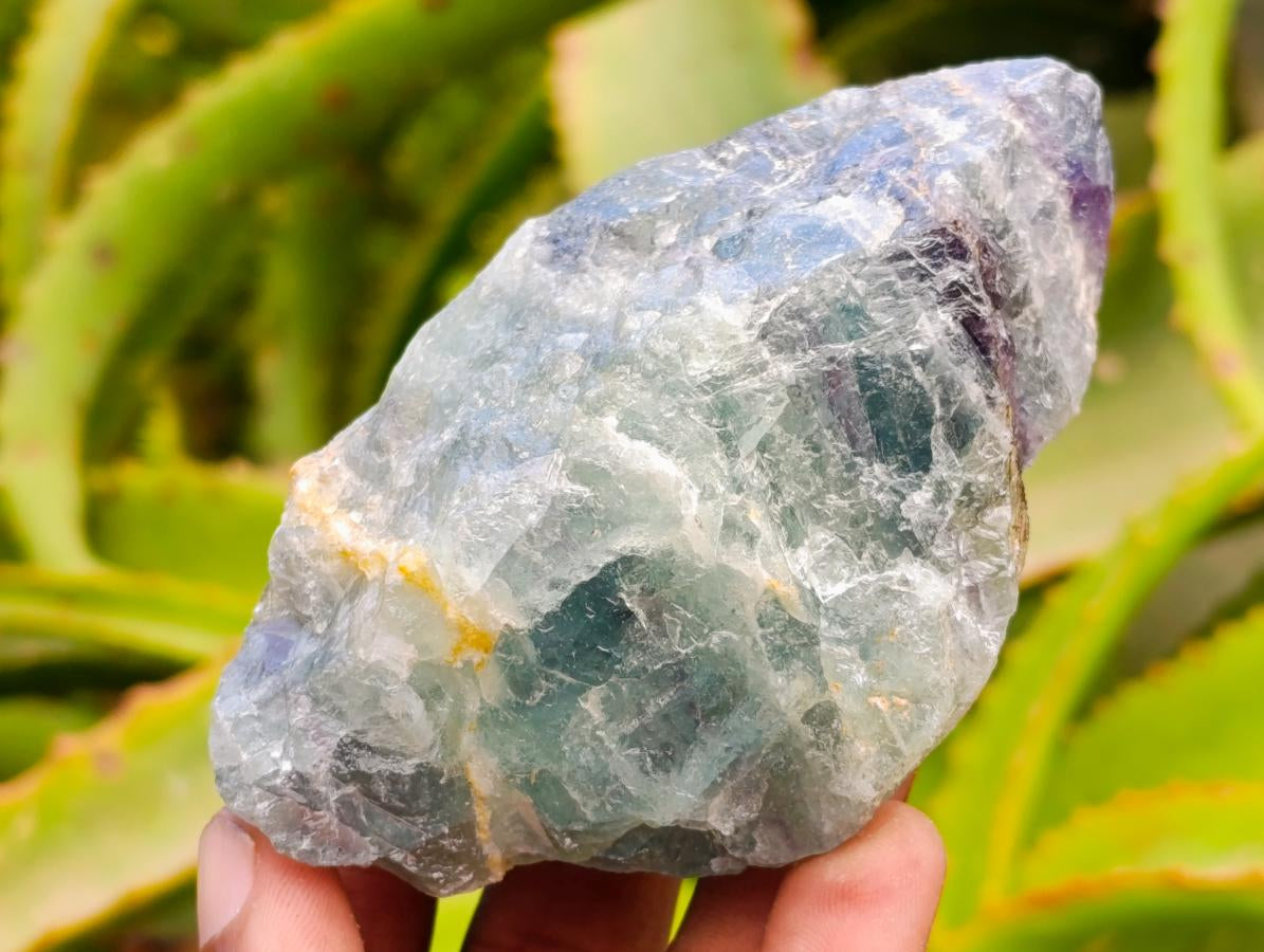 Natural Watermelon Fluorite Cobbed Specimens x 6 From Uis, Namibia