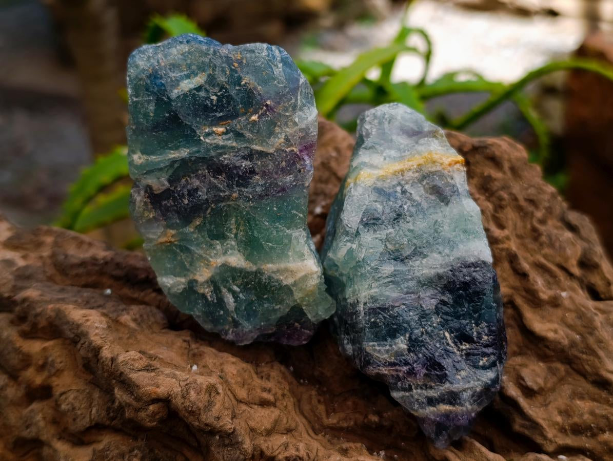 Natural Watermelon Fluorite Cobbed Specimens x 6 From Uis, Namibia