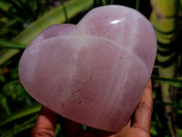 Polished Large Gemmy Rose Quartz Hearts x 2 From Madagascar