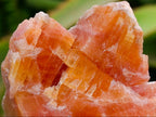 Natural Sunset Orange Calcite Specimens x 12 From Spitzkop, Namibia
