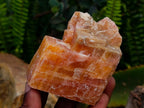 Natural Sunset Orange Calcite Specimens x 12 From Spitzkop, Namibia