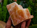 Natural Sunset Orange Calcite Specimens x 12 From Spitzkop, Namibia