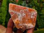 Natural Sunset Orange Calcite Specimens x 12 From Spitzkop, Namibia