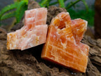 Natural Sunset Orange Calcite Specimens x 12 From Spitzkop, Namibia