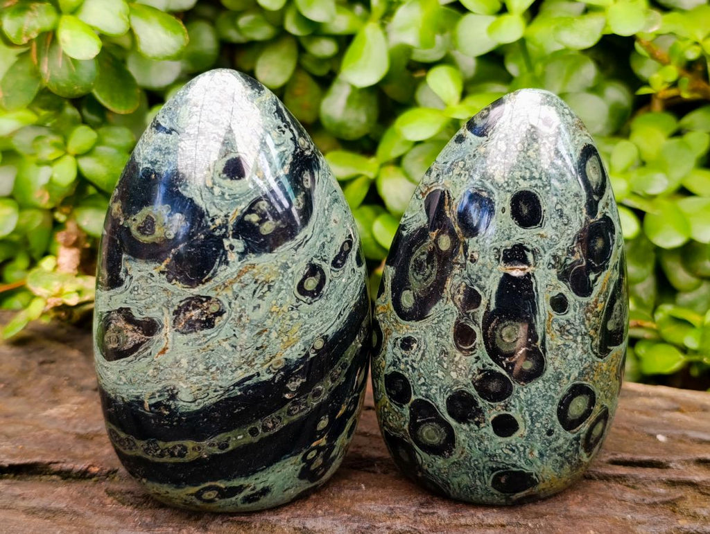 Polished Stromatolite Standing Free Forms x 6 From Katsepy, Madagascar