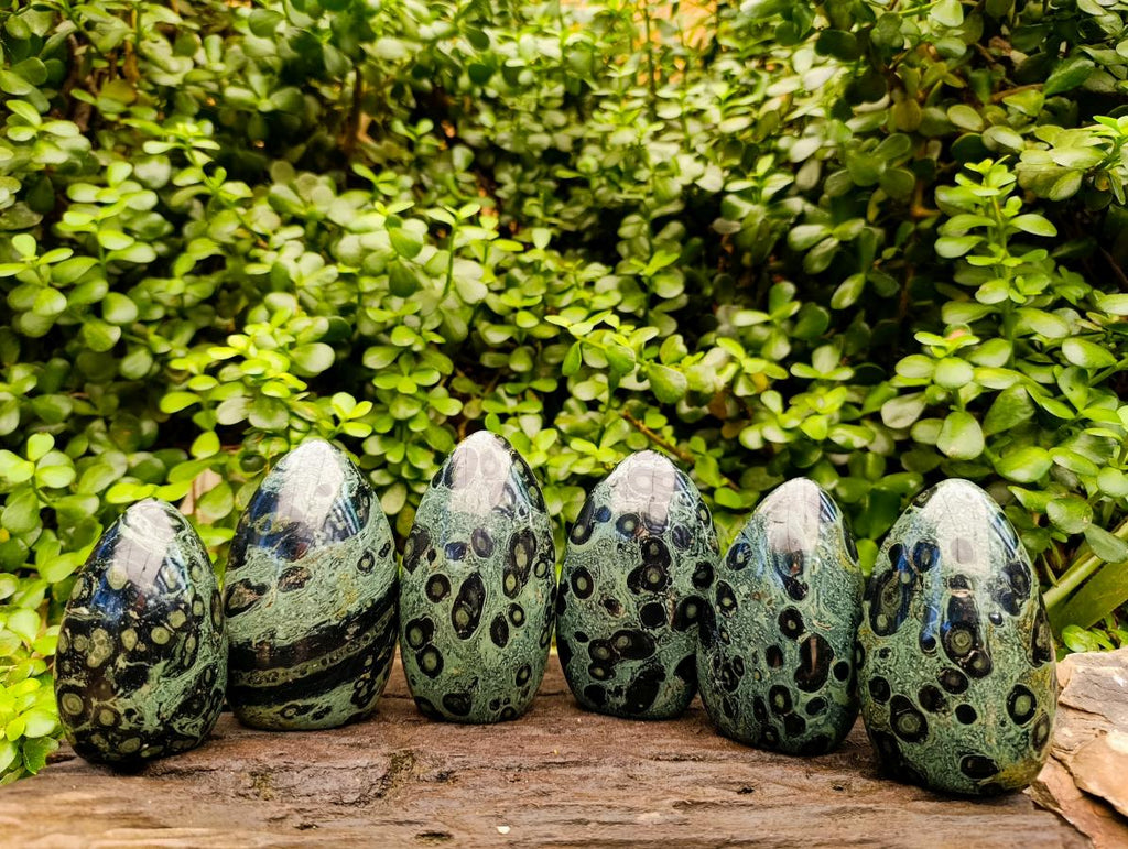 Polished Stromatolite Standing Free Forms x 6 From Katsepy, Madagascar