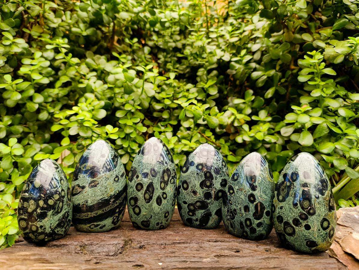 Polished Stromatolite Standing Free Forms x 6 From Katsepy, Madagascar