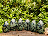 Polished Stromatolite Standing Free Forms x 6 From Katsepy, Madagascar