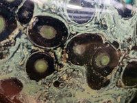 Polished Stromatolite Standing Free Forms x 6 From Katsepy, Madagascar