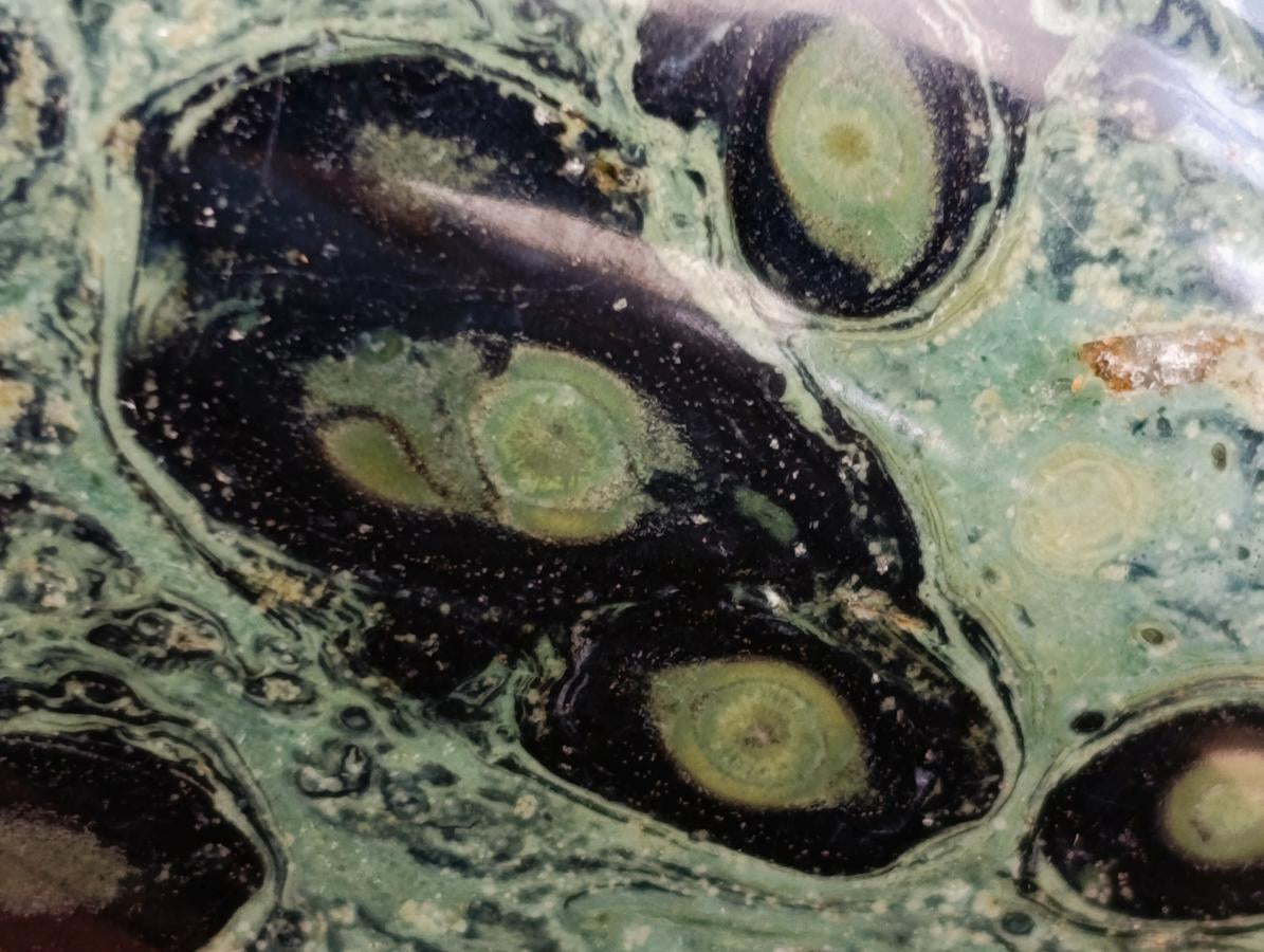 Polished Stromatolite Standing Free Forms x 6 From Katsepy, Madagascar