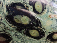 Polished Stromatolite Standing Free Forms x 6 From Katsepy, Madagascar