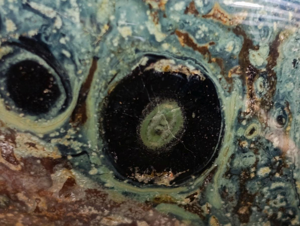 Polished Stromatolite Standing Free Forms x 6 From Katsepy, Madagascar