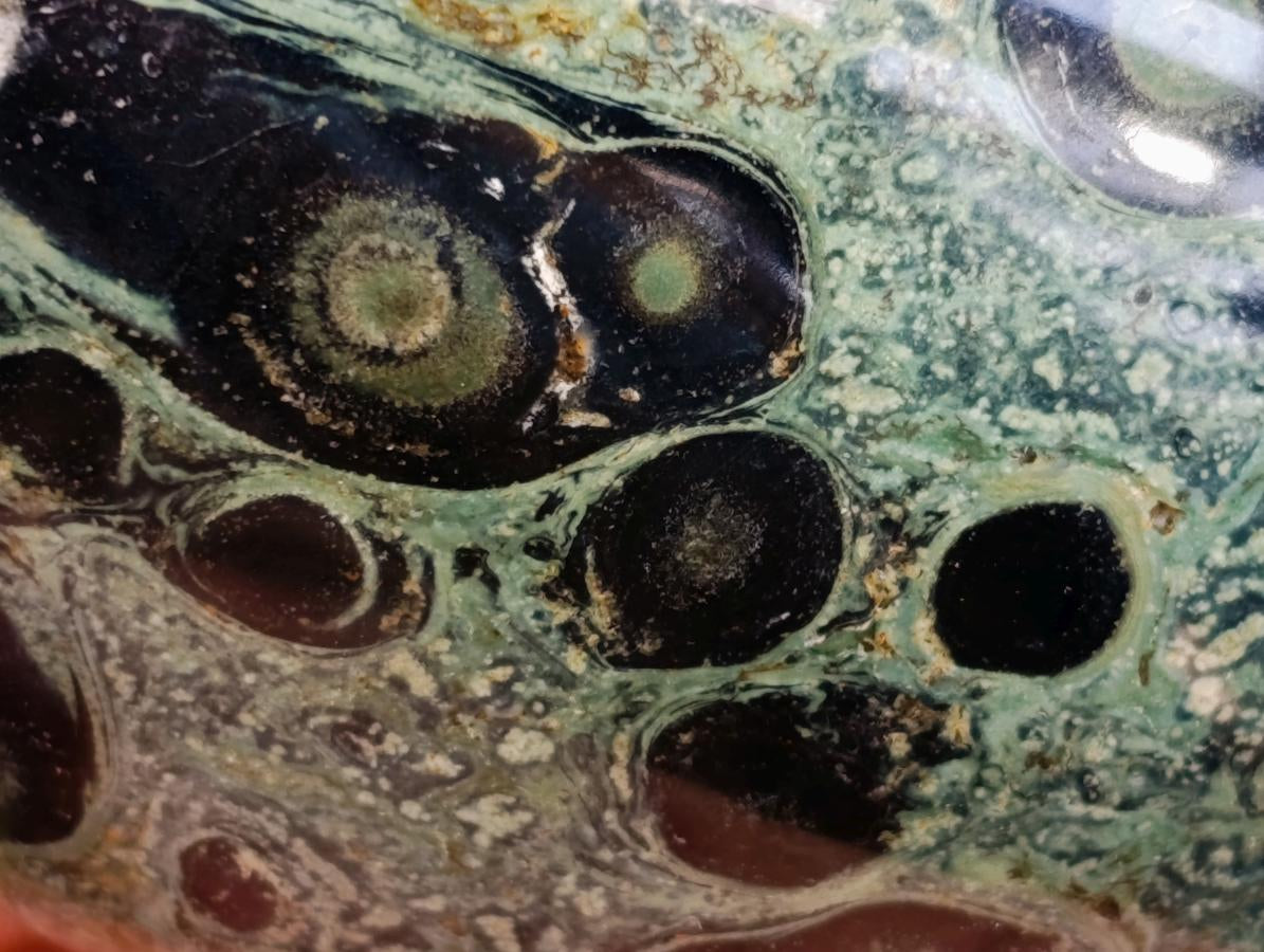 Polished Stromatolite Standing Free Forms x 6 From Katsepy, Madagascar