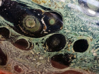 Polished Stromatolite Standing Free Forms x 6 From Katsepy, Madagascar