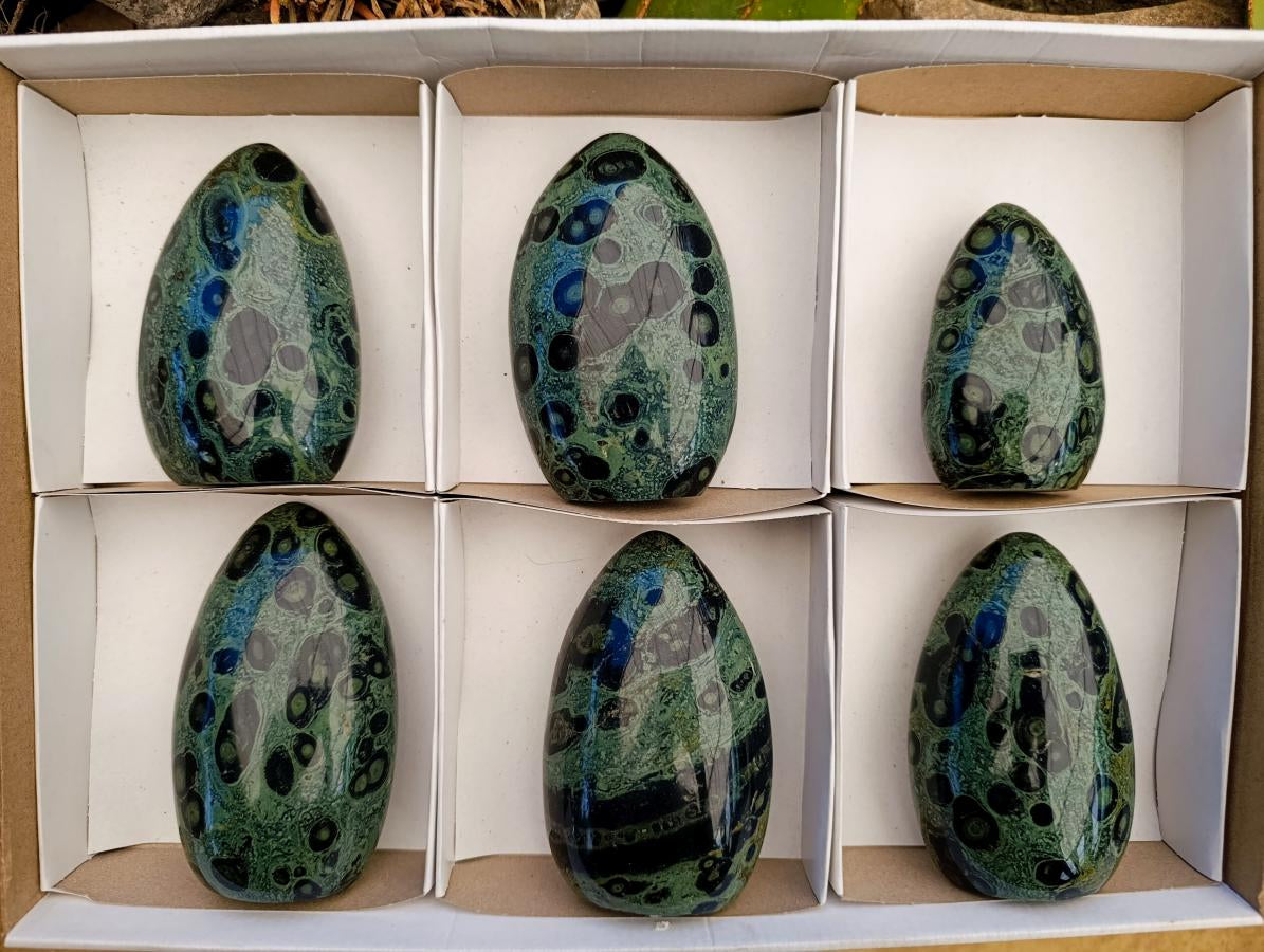 Polished Stromatolite Standing Free Forms x 6 From Katsepy, Madagascar