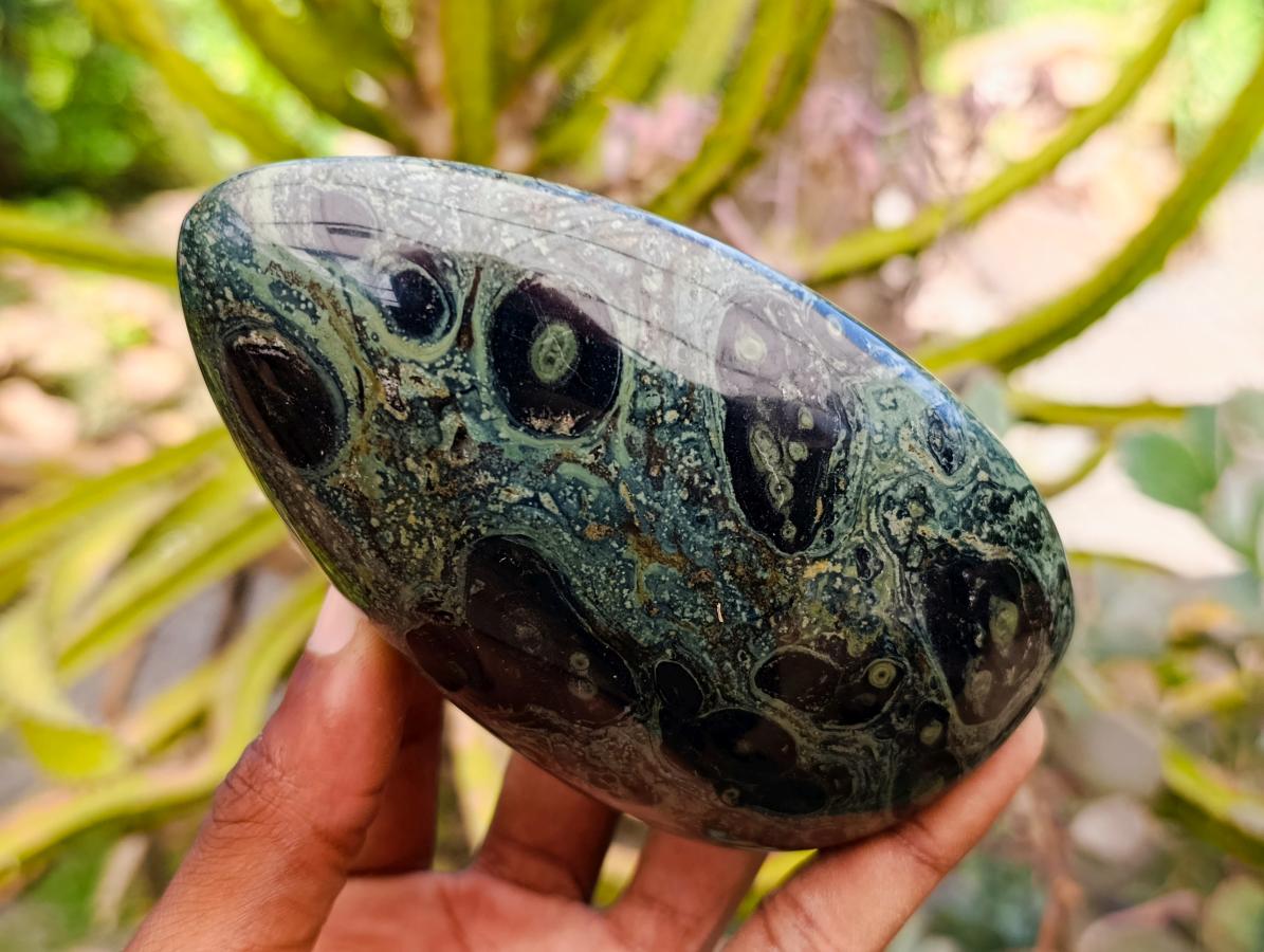 Polished Stromatolite Standing Free Forms x 6 From Katsepy, Madagascar