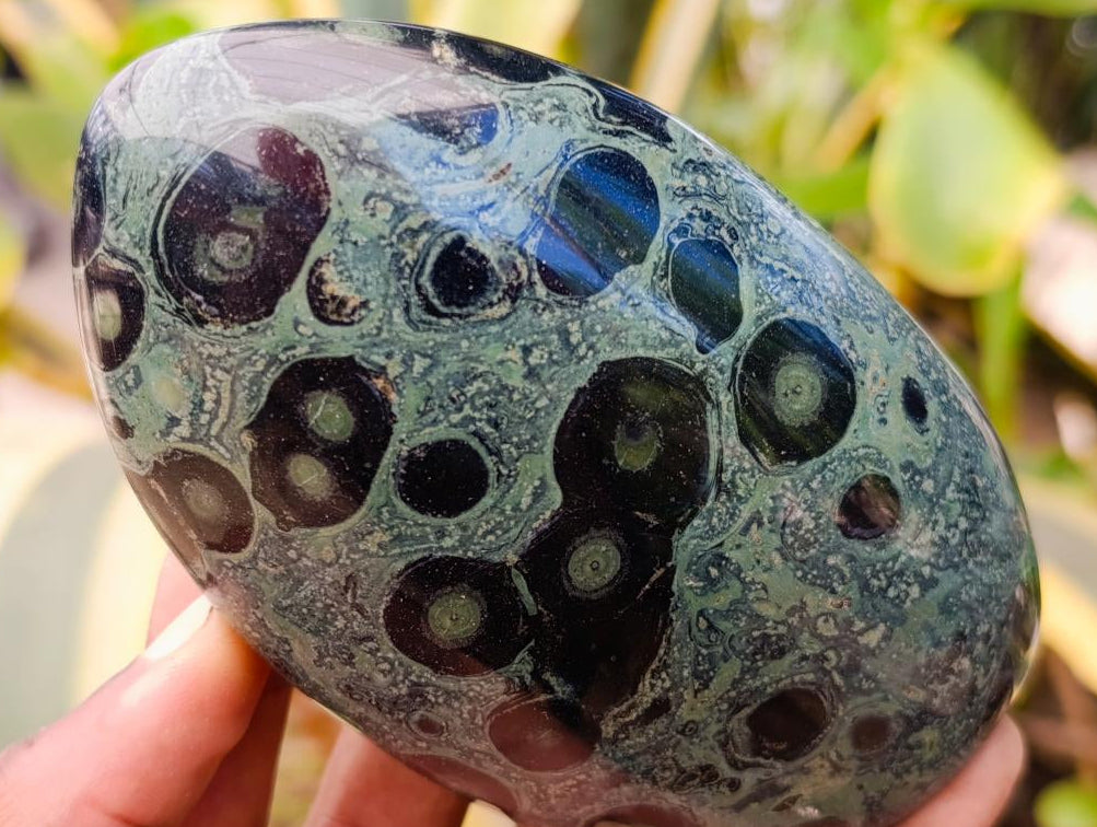 Polished Stromatolite Standing Free Forms x 6 From Katsepy, Madagascar