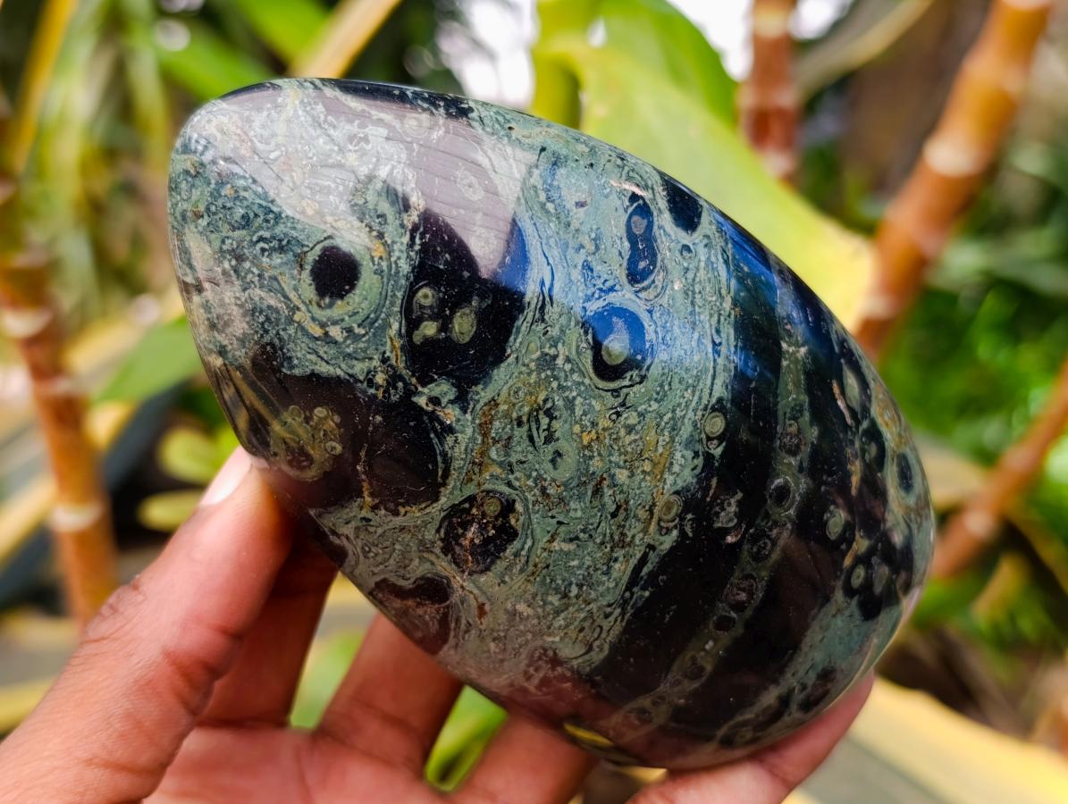 Polished Stromatolite Standing Free Forms x 6 From Katsepy, Madagascar