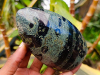 Polished Stromatolite Standing Free Forms x 6 From Katsepy, Madagascar