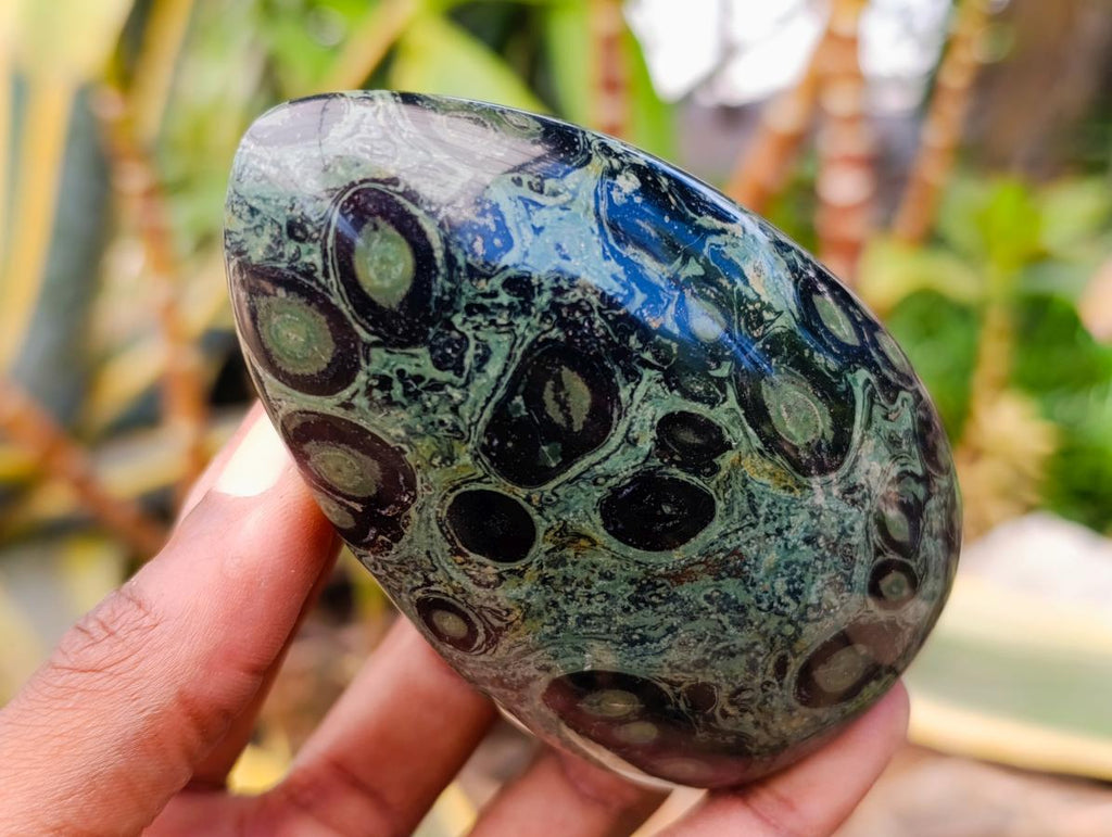 Polished Stromatolite Standing Free Forms x 6 From Katsepy, Madagascar