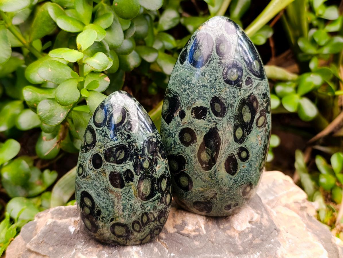 Polished Stromatolite Standing Free Forms x 6 From Katsepy, Madagascar