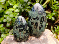 Polished Stromatolite Standing Free Forms x 6 From Katsepy, Madagascar