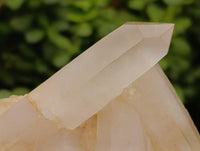 Natural Clear Cascading Quartz Crystal Clusters x 3 From Madagascar