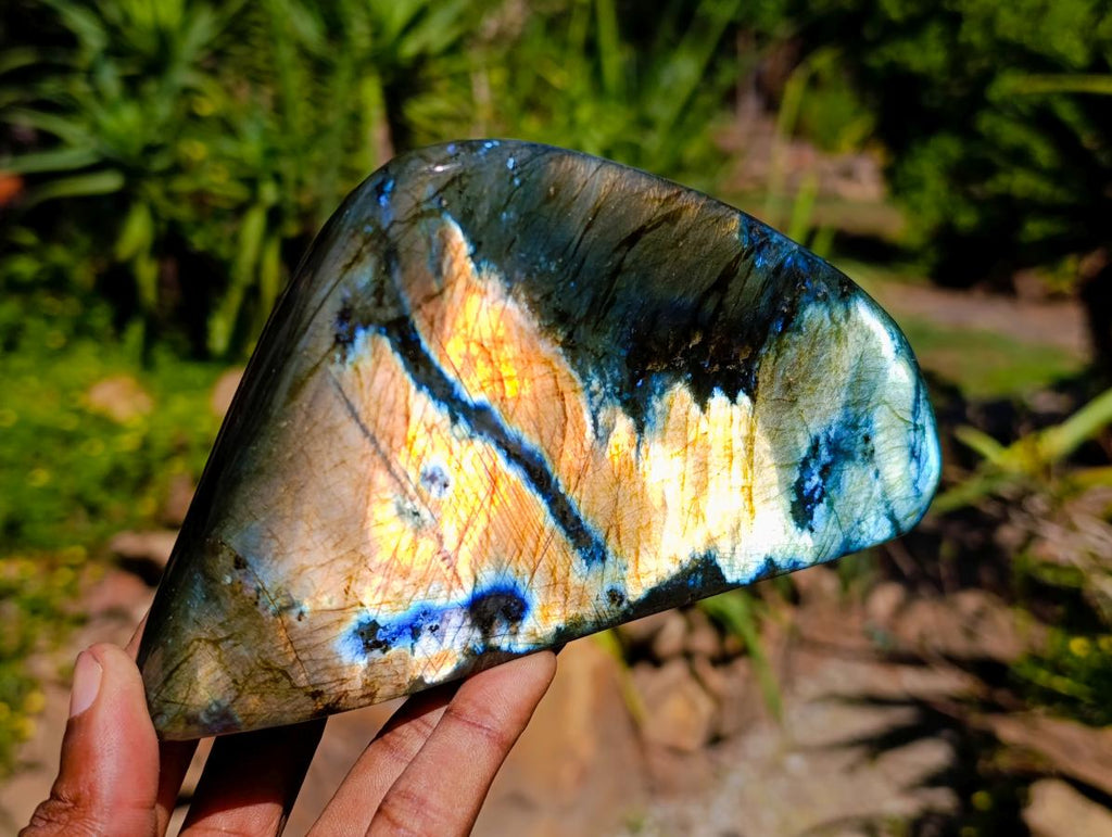 Polished Labradorite Standing Free Forms x 2 From Tulear, Madagascar
