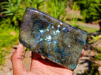 Polished Labradorite Standing Free Forms x 2 From Tulear, Madagascar