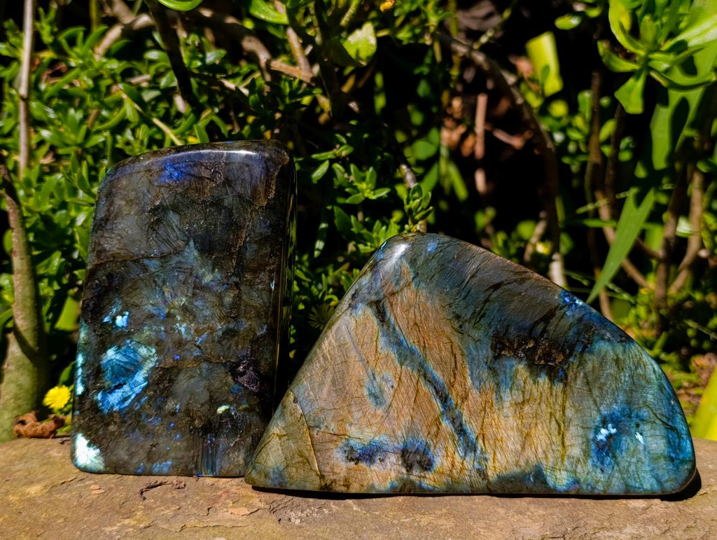 Polished Labradorite Standing Free Forms x 2 From Tulear, Madagascar