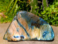 Polished Labradorite Standing Free Forms x 2 From Tulear, Madagascar