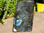 Polished Labradorite Standing Free Forms x 2 From Tulear, Madagascar
