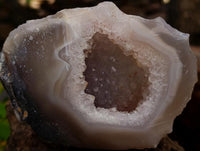 Polished Amethyst Agate Geodes x 6 From Madagascar