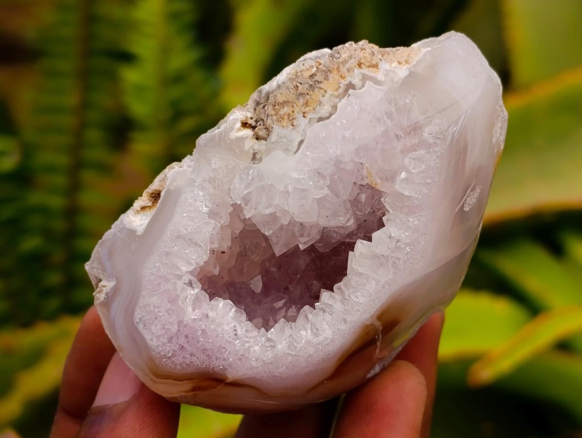 Polished Amethyst Agate Geodes x 6 From Madagascar