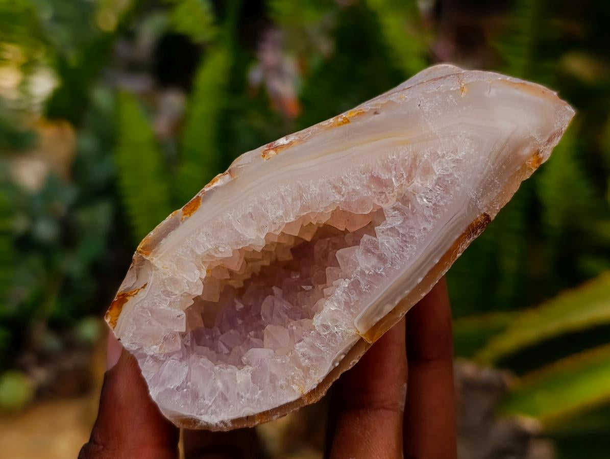 Polished Amethyst Agate Geodes x 6 From Madagascar