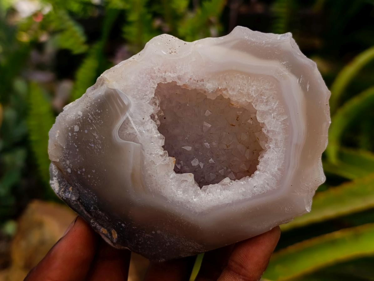 Polished Amethyst Agate Geodes x 6 From Madagascar