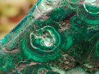 Polished Flower Banded Malachite Free Forms x 12 From Congo - Toprock Gemstones and Minerals 