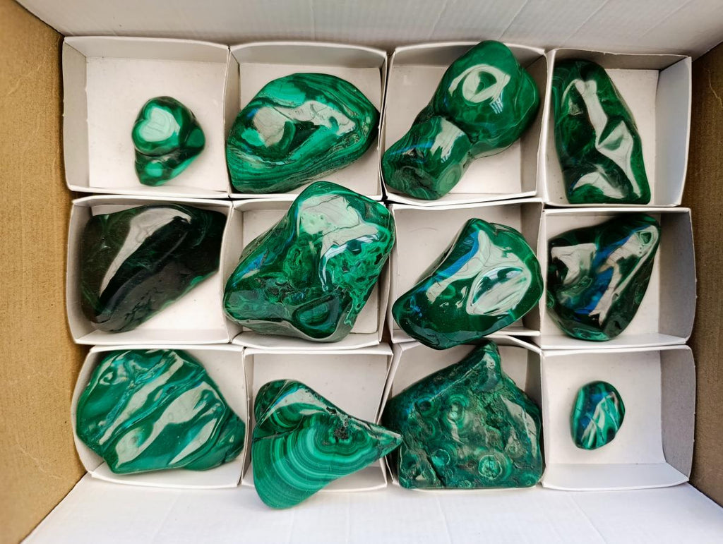 Polished Flower Banded Malachite Free Forms x 12 From Congo - Toprock Gemstones and Minerals 
