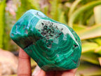 Polished Flower Banded Malachite Free Forms x 12 From Congo - Toprock Gemstones and Minerals 