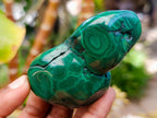 Polished Flower Banded Malachite Free Forms x 12 From Congo - Toprock Gemstones and Minerals 