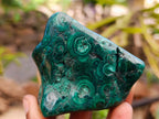 Polished Flower Banded Malachite Free Forms x 12 From Congo - Toprock Gemstones and Minerals 