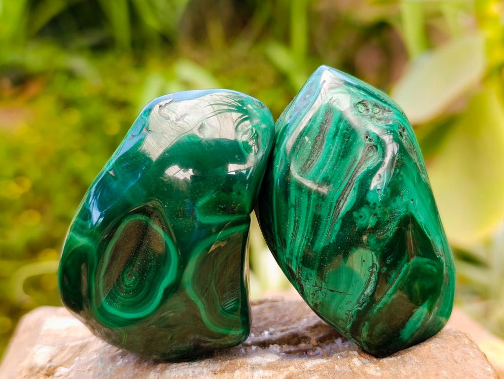 Polished Flower Banded Malachite Free Forms x 12 From Congo - Toprock Gemstones and Minerals 