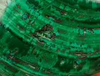 Polished Flower Banded Malachite Free Forms x 12 From Congo