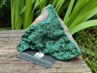 Natural Crystalline Malachite on Dolomite Specimen x 1 From Kolwezi, Congo