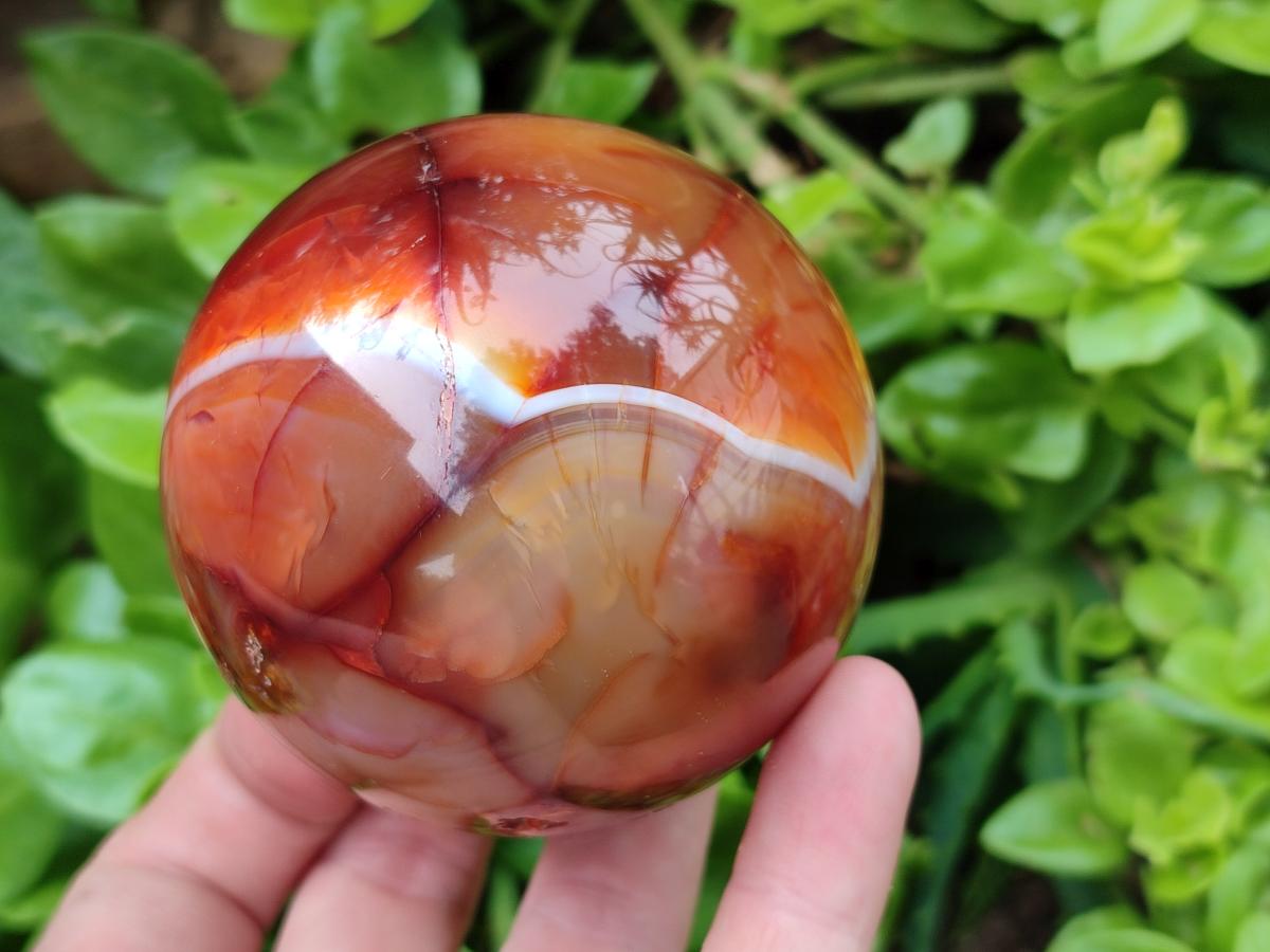 Polished Carnelian Agate Gemstone Spheres x 4 From Madagascar
