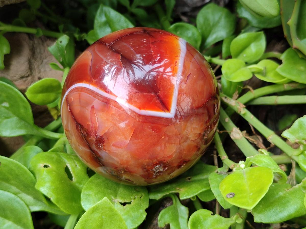 Polished Carnelian Agate Gemstone Spheres x 4 From Madagascar