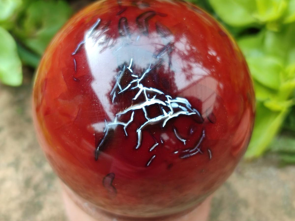 Polished Carnelian Agate Gemstone Spheres x 4 From Madagascar