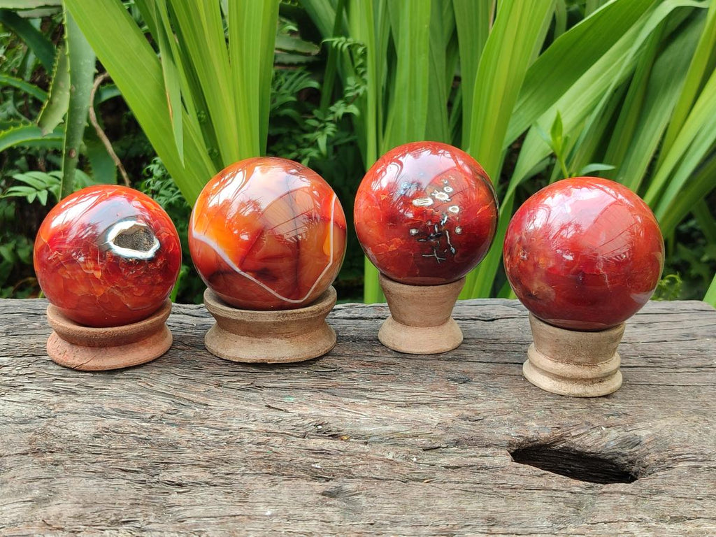 Polished Carnelian Agate Gemstone Spheres x 4 From Madagascar